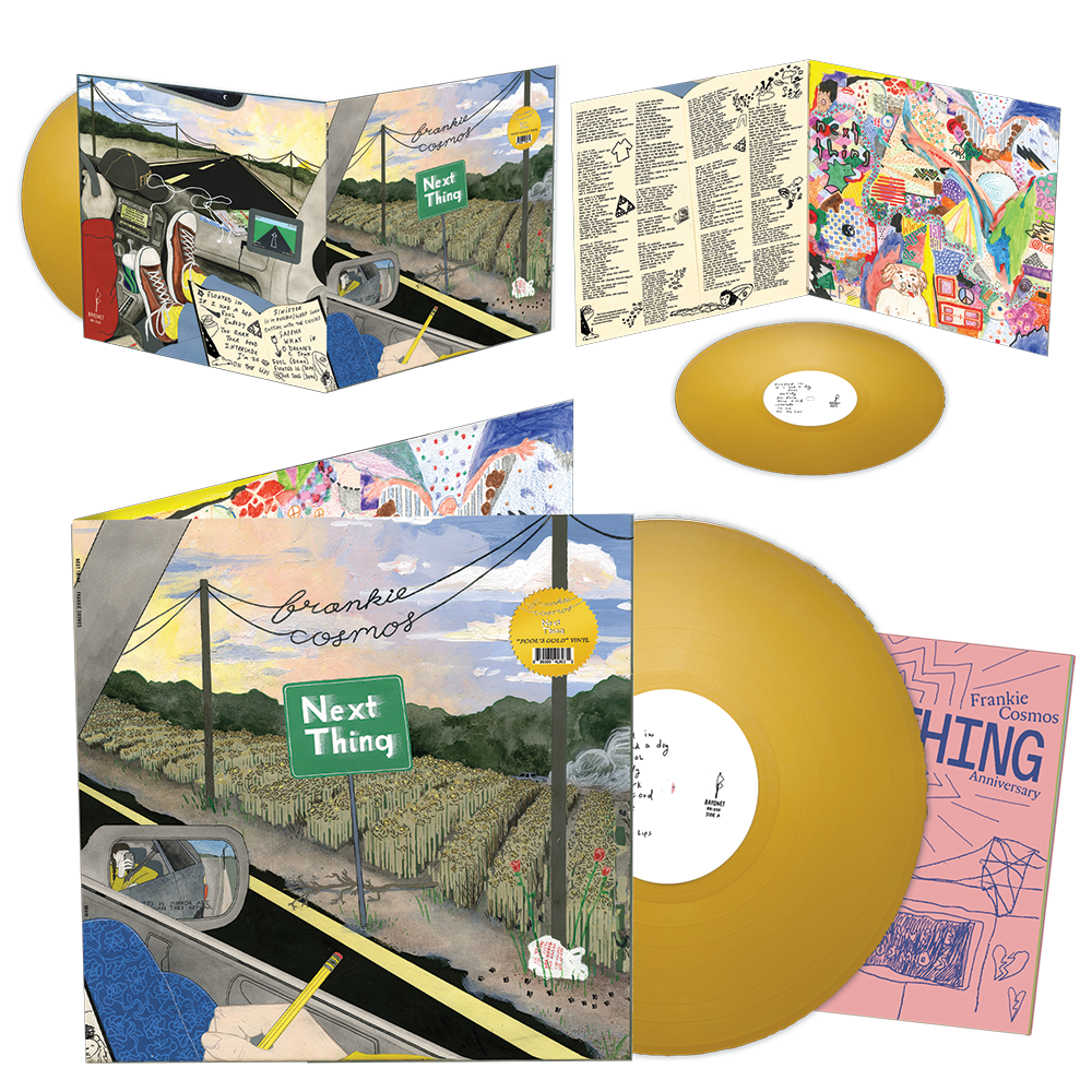 Frankie Cosmos 'Next Thing' 10 Year Anniversary 