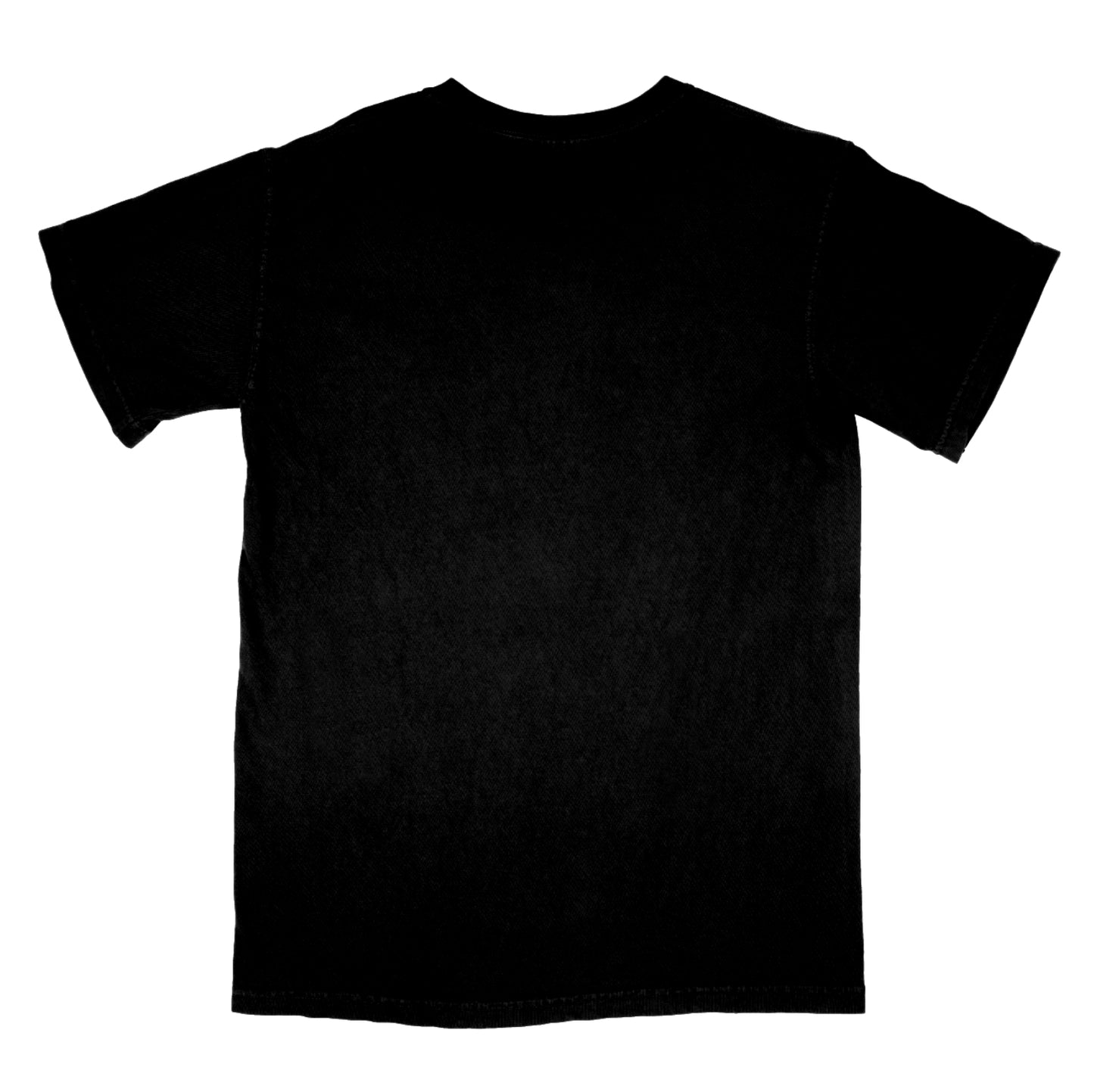 Beach Fossils Logo Shirt (black)