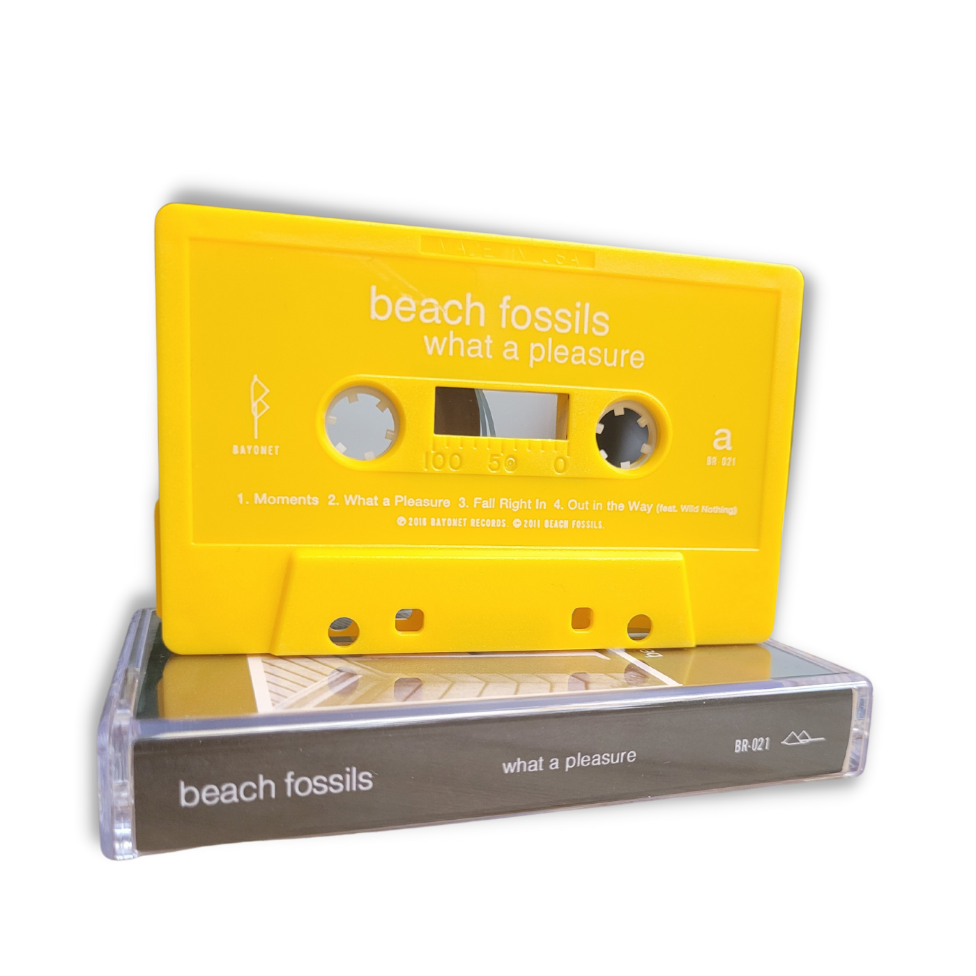 Beach Fossils 'What a Pleasure'