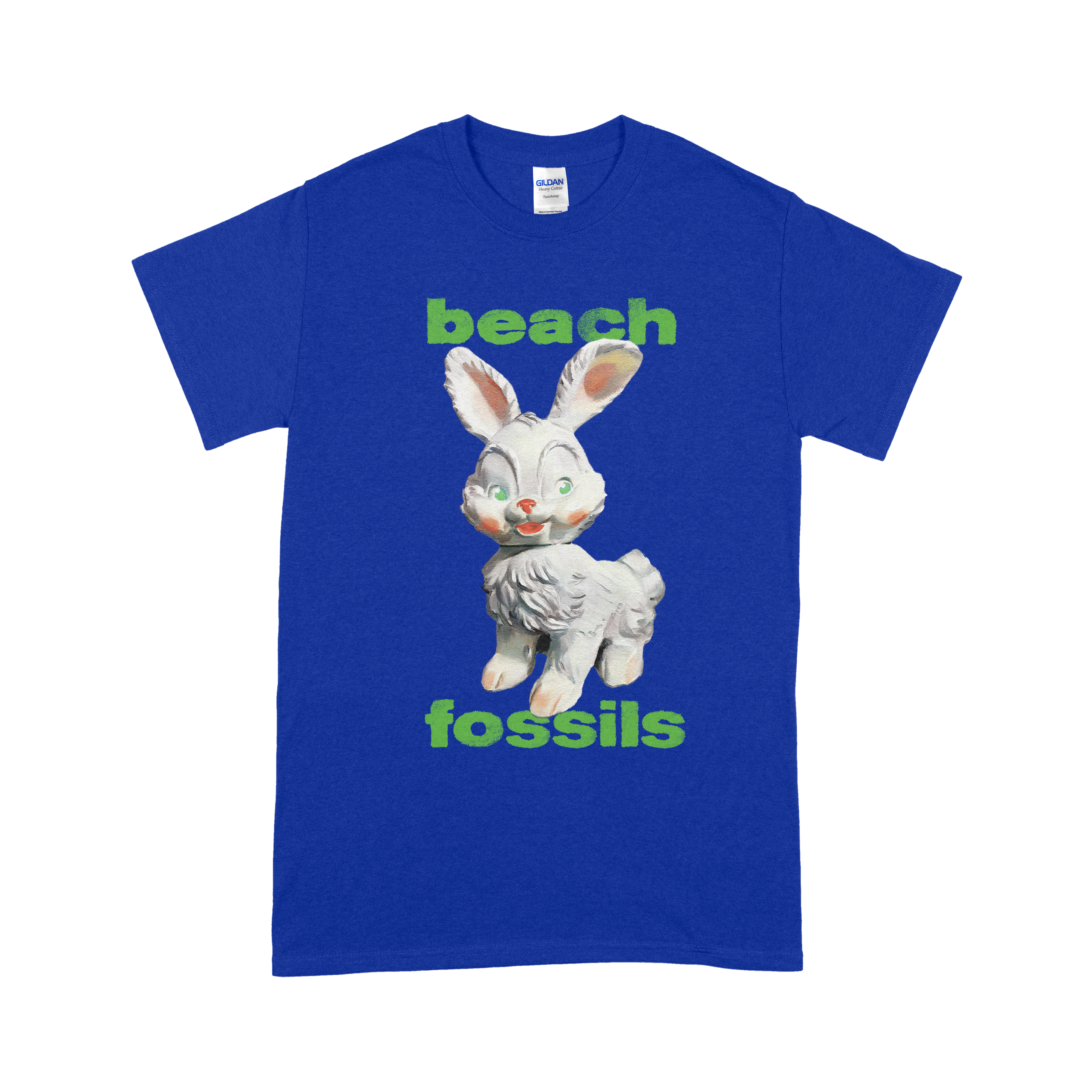 Beach fossils on sale hoodie