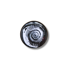 Load image into Gallery viewer, Beach Fossils 1&quot; Pins
