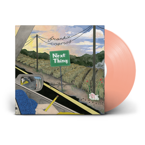 Frankie Cosmos 'Next Thing'