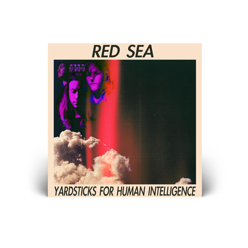 Red Sea 'Yardsticks for Human Intelligence'